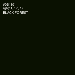 #0B1101 - Black Forest Color Image
